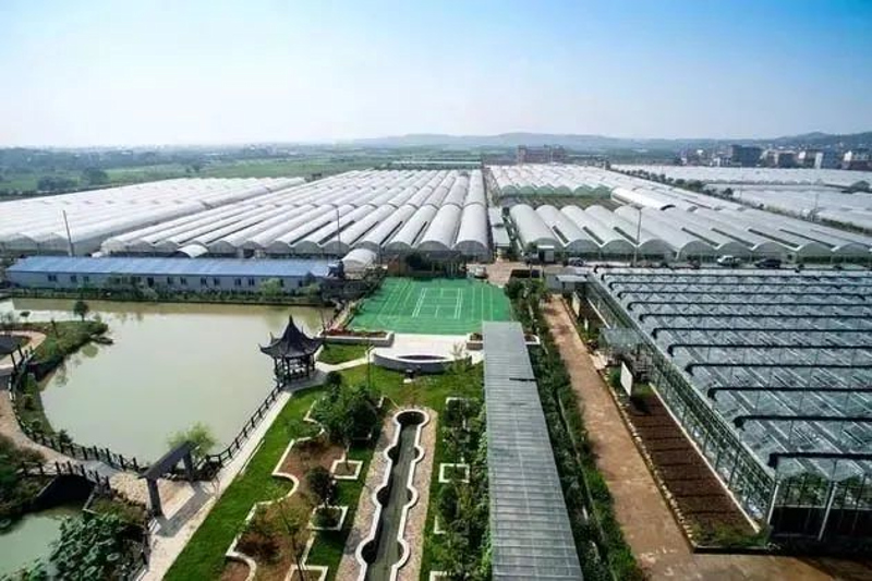 山东农业开发公司:新时代农业科技发展的新引擎